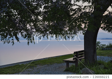 Lake Biwa and that bench at dawn - Horizontal composition 30 116088221