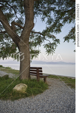 Lake Biwa and that bench at dawn: vertical composition 8 116088293