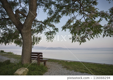 Lake Biwa and that bench at dawn - Horizontal composition 57 116088294