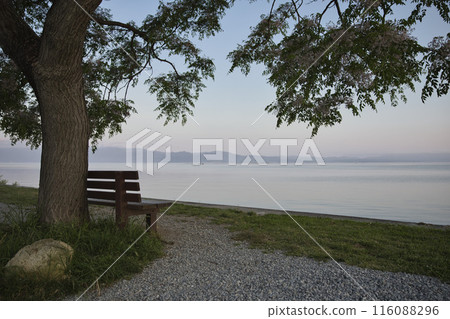 Lake Biwa and that bench at dawn - Horizontal composition 59 116088296