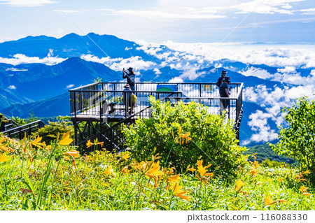 [Tochigi Prefecture] Tourists gaze upon the sea of clouds from the Komaruyama Observation Terrace in Nikko, Kirifuri Highlands, as the Hemerocallis day lilies bloom. 116088330