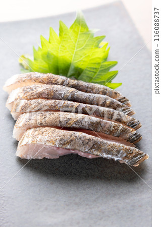 美味的烤生魚片 116088737