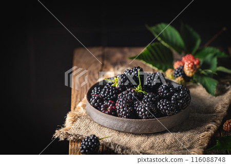 Ripe blackberries with leaves 116088748