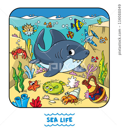 Sea theme. Shark. Kids vector illustration. 116088849