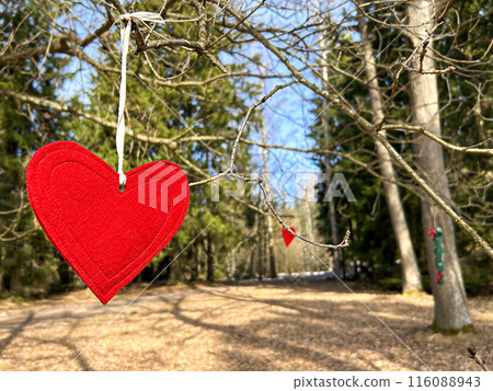 Red cloth heart on the tree 116088943