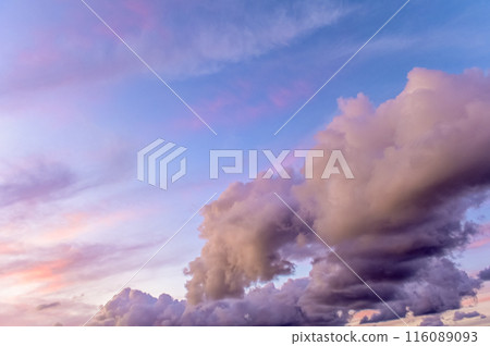 Sky with clouds during sunset. Nature. Clouds and blue sky. 2 116089093
