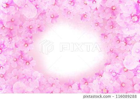 Rose of Sharon flower card 2 116089288