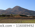 Autumn scenery of Mt. Nijo 116089492