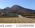 Mt. Nijo in autumn colors and Kintetsu train 116089496