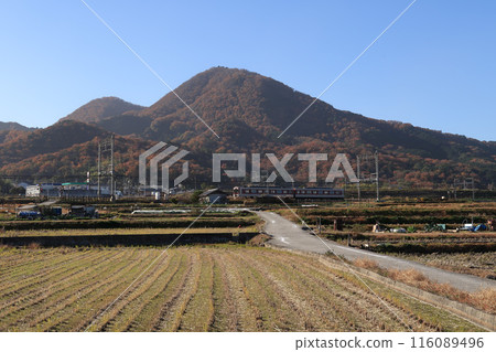 Mt. Nijo in autumn colors and Kintetsu train Mt. Nijo in autumn colors and Kintetsu train 116089496
