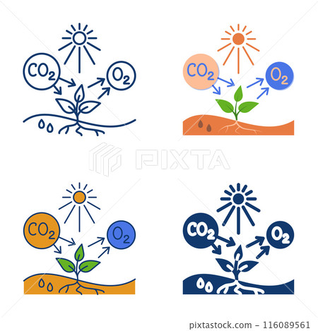 Photosynthesis process flat and line icon set Photosynthesis process flat and line icon set 116089561
