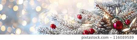 Festive White Christmas Ornaments and Pine Branches with Snow 116089589
