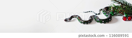Festive Snake Among Christmas Decorations on Snowy Backdrop 116089591