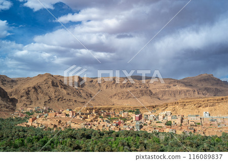 Verdant Oasis at Todra Gorges, Morocco. 116089837