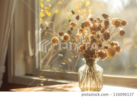 Sunlit Vintage Glass Vase with Dried Flowers by Window Sunlit Vintage Glass Vase with Dried Flowers by Window 116090137
