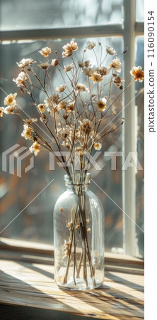 Sunlit Vintage Glass Vase with Dried Flowers by Window Sunlit Vintage Glass Vase with Dried Flowers by Window 116090154