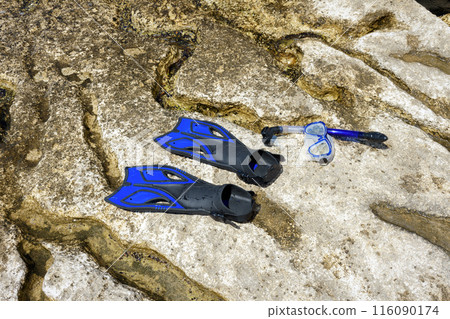 Flippers on the shore. 116090174