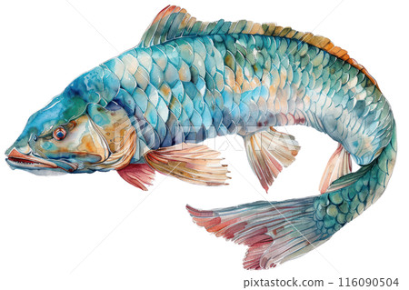 Arapaima, Pastel-colored, in hand-drawn style, watercolor, isolated on white background 116090504
