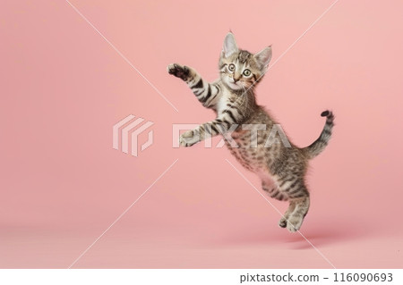 Egyptian Mau cat Jumping and remaining in mid-air, studio lighting, isolated on pastel background, stock photographic style 116090693