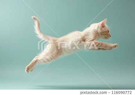 Javanese cat Jumping and remaining in mid-air, studio lighting, isolated on pastel background, stock photographic style 116090772