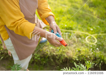 Senior woman watering fresh plants growing at home vegetable garden. Gardener taking care of plants at the backyard of her house. Concept of sustainability and growing organic Senior woman watering fresh plants growing at home vegetable garden. Gardener taking care of plants at the backyard of her house. Concept of sustainability and growing organic 116091086