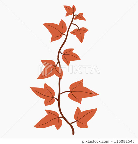 Floral ivy drawing decorative ornament flat design. Floral ivy drawing decorative ornament flat design. 116091545