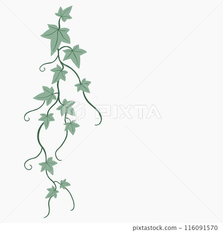 Floral ivy drawing decorative ornament flat design. 116091570