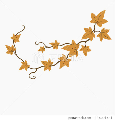 Floral ivy drawing decorative ornament flat design. 116091581