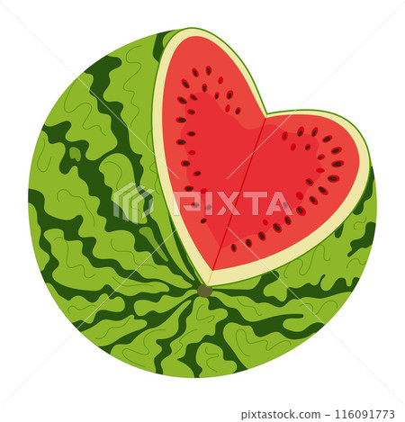 Fresh red juicy Cut watermelon in heart shape Hand drawn flat style summer fruit 116091773