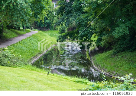 Tranquil Park Stream Surrounded by Lush Greenery Tranquil Park Stream Surrounded by Lush Greenery 116091923