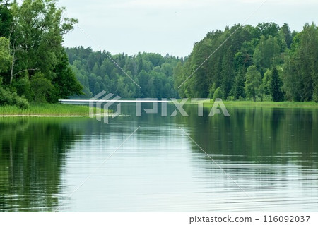 Calm Lake with Forest Reflections. Lake Vaidava 116092037