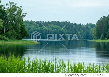 Peaceful Lake Surrounded by Dense Forest. Lake Vaidava Peaceful Lake Surrounded by Dense Forest. Lake Vaidava 116092038
