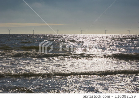 Wind turbines in the North Sea in Denmark in the evening 116092159