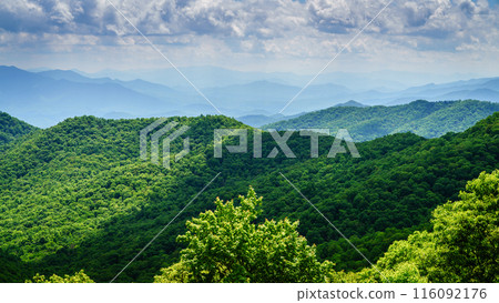 Blue ridges Blue ridges 116092176