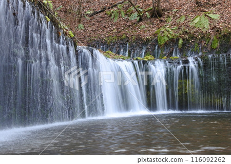 Waterfall, Shiraito Falls, Karuizawa 116092262