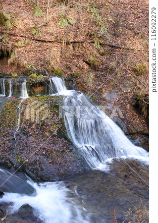 Waterfall, Shiraito Falls, Karuizawa 116092279