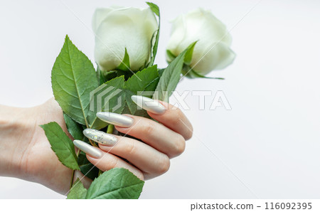 Female Hands on a white background with beautiful pearl manicure and white roses. Female Hands on a white background with beautiful pearl manicure and white roses. 116092395
