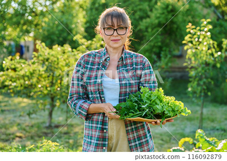 Smiling woman gardener farmer with harvest of greens, herbs in garden 116092879