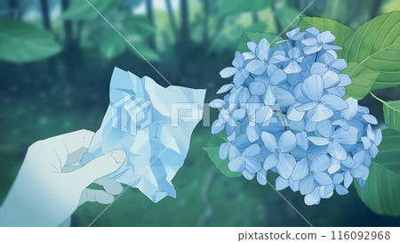 繡球花 手 花朵 116092968