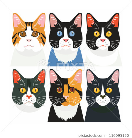 Six colorful cat faces illustrated flat design style, cat features distinctive fur patterns unique combination eye colors, suggesting different breeds Six colorful cat faces illustrated flat design style, cat features distinctive fur patterns unique combination eye colors, suggesting different breeds 116095130