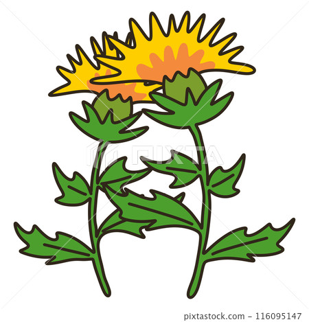 紅花 紅花 116095147