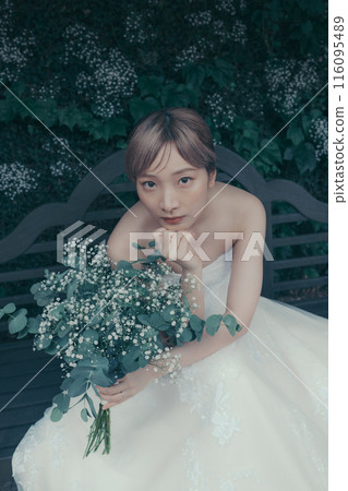 Bride in a wedding dress Bride in a wedding dress 116095489