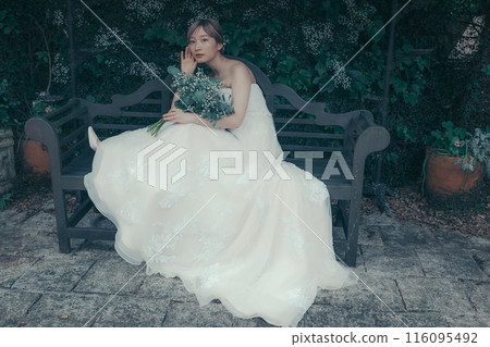 Bride in a wedding dress Bride in a wedding dress 116095492