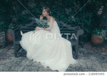 Bride in a wedding dress Bride in a wedding dress 116095493