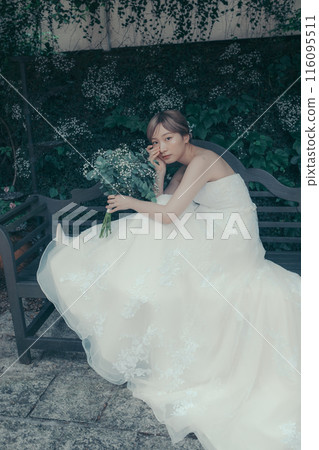Bride in a wedding dress Bride in a wedding dress 116095511