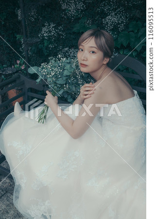 Bride in a wedding dress 116095513