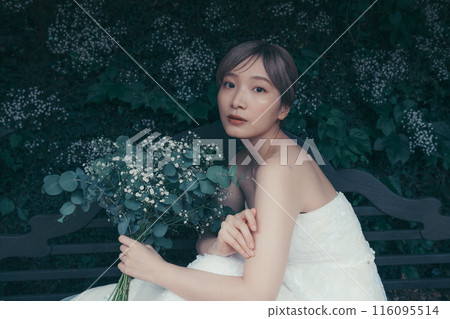 Bride in a wedding dress 116095514