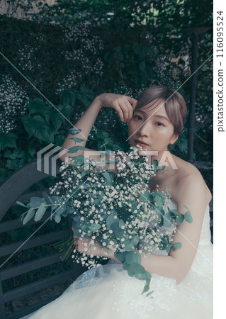 Bride in a wedding dress 116095524