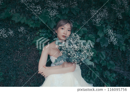 Bride in a wedding dress Bride in a wedding dress 116095756