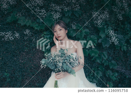 Bride in a wedding dress 116095758